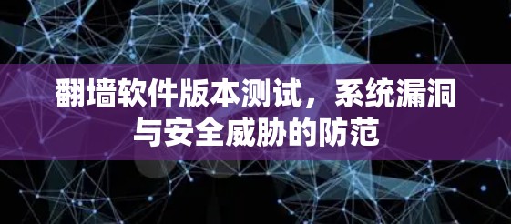 翻墙软件版本测试，系统漏洞与安全威胁的防范