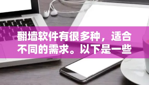 翻墙软件有很多种，适合不同的需求。以下是一些常见的翻墙软件及其特点