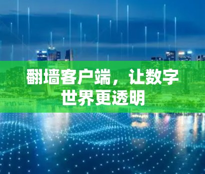 翻墙客户端，让数字世界更透明