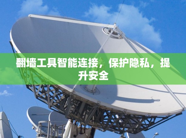 翻墙工具智能连接，保护隐私，提升安全