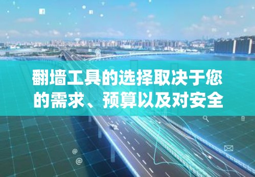 翻墙工具的选择取决于您的需求、预算以及对安全性的要求。以下是一些 commonly used 翻墙工具推荐，供您参考