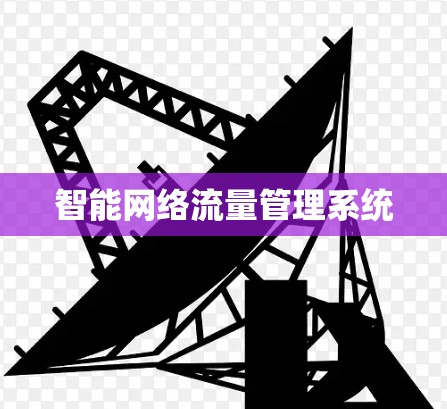智能网络流量管理系统